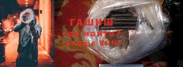 индика Осташков