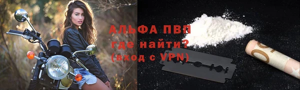 индика Осташков