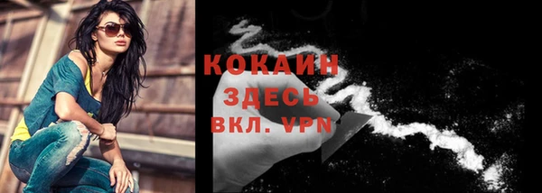 индика Осташков