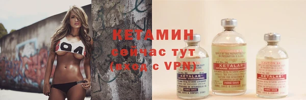 индика Осташков