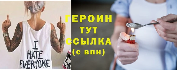 индика Осташков