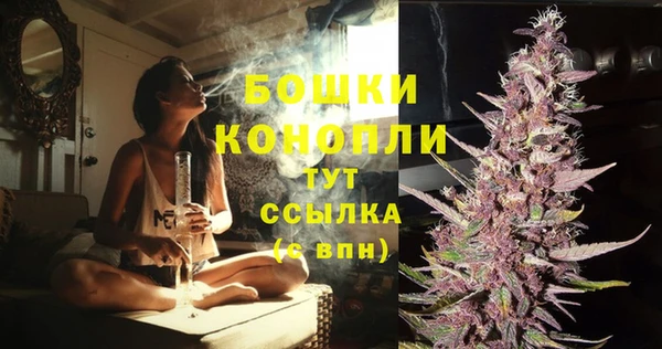 индика Осташков
