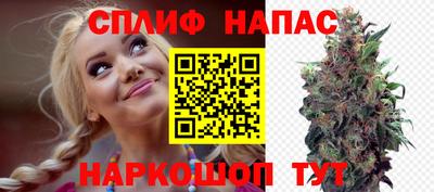 дмт Бузулук