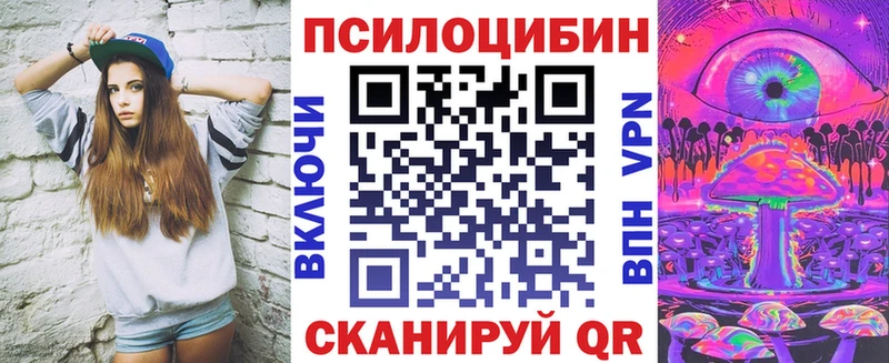 Псилоцибиновые грибы Psilocybe  где купить наркотик  мориарти наркотические препараты  Качканар 