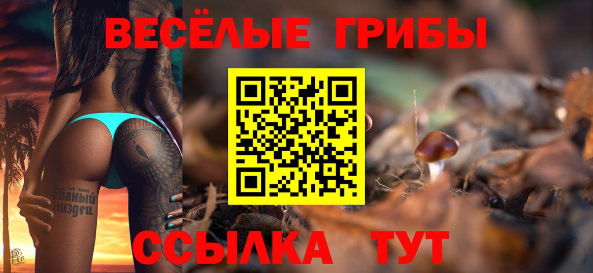 Качканар  Галлюциногенные грибы Cubensis  Вход с VPN  Галлюциногенные грибы мухоморы 
