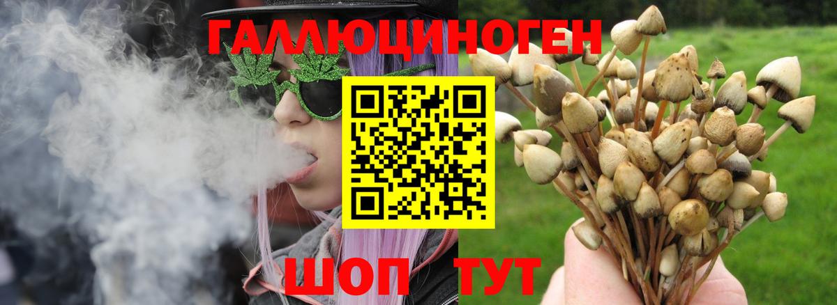 Галлюциногенные грибы прущие грибы  Качканар 